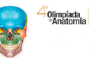 4 olimp anatomia